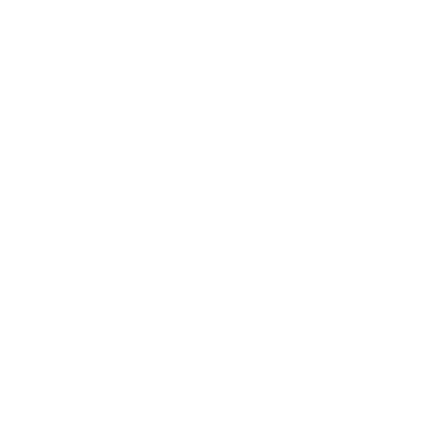 ss bazar